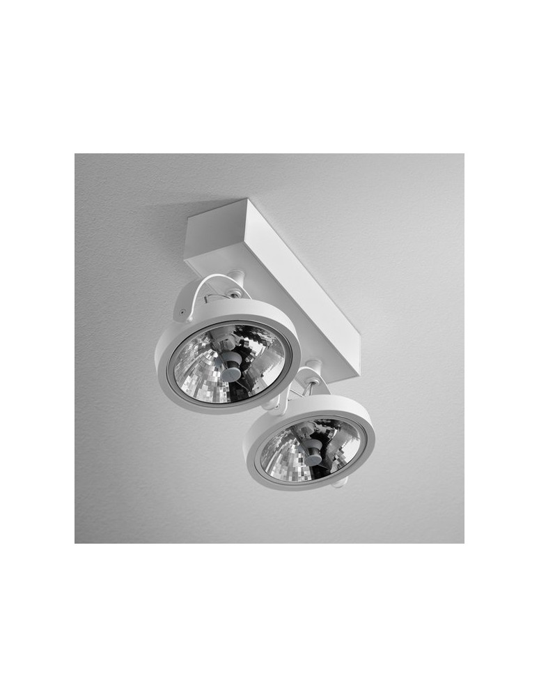 Kinkiety - Aqform CERES 111x2 R Reflektor spot AR111 15112-0000-T8-PH - produkt kolory-swiatla.pl 1