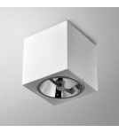 Lampy sufitowe - Aqform BIG CUBE 111 natynkowy 42211-0000-T8-PH - produkt 1
