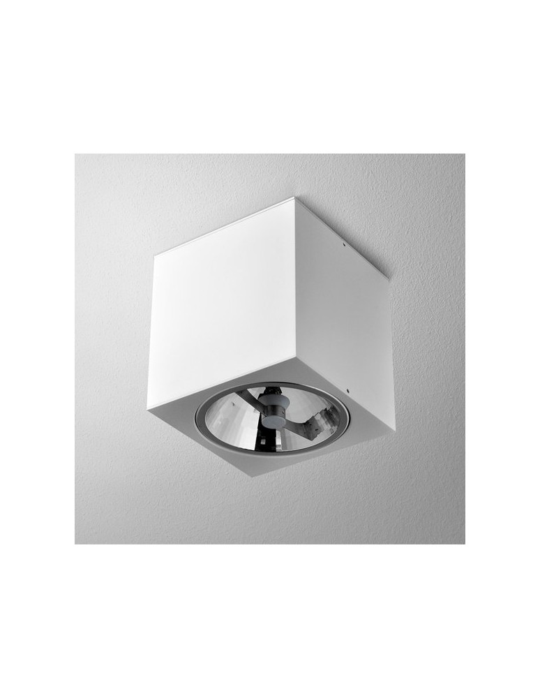 Lampy sufitowe - Aqform BIG CUBE 111 natynkowy 42211-0000-T8-PH - produkt kolory-swiatla.pl 1