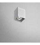Oprawy sufitowe na wymienne źródło światła - Aqform QUPET natynkowy 9cm 42411-0000-U8-PH - product 1