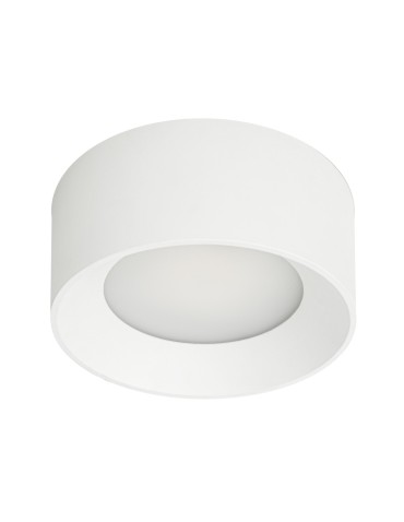 Italux Sirius Natynkowa Biały IP44 1xLED 28W 3000K+4000K WG-608C/WK-WW/MULTI