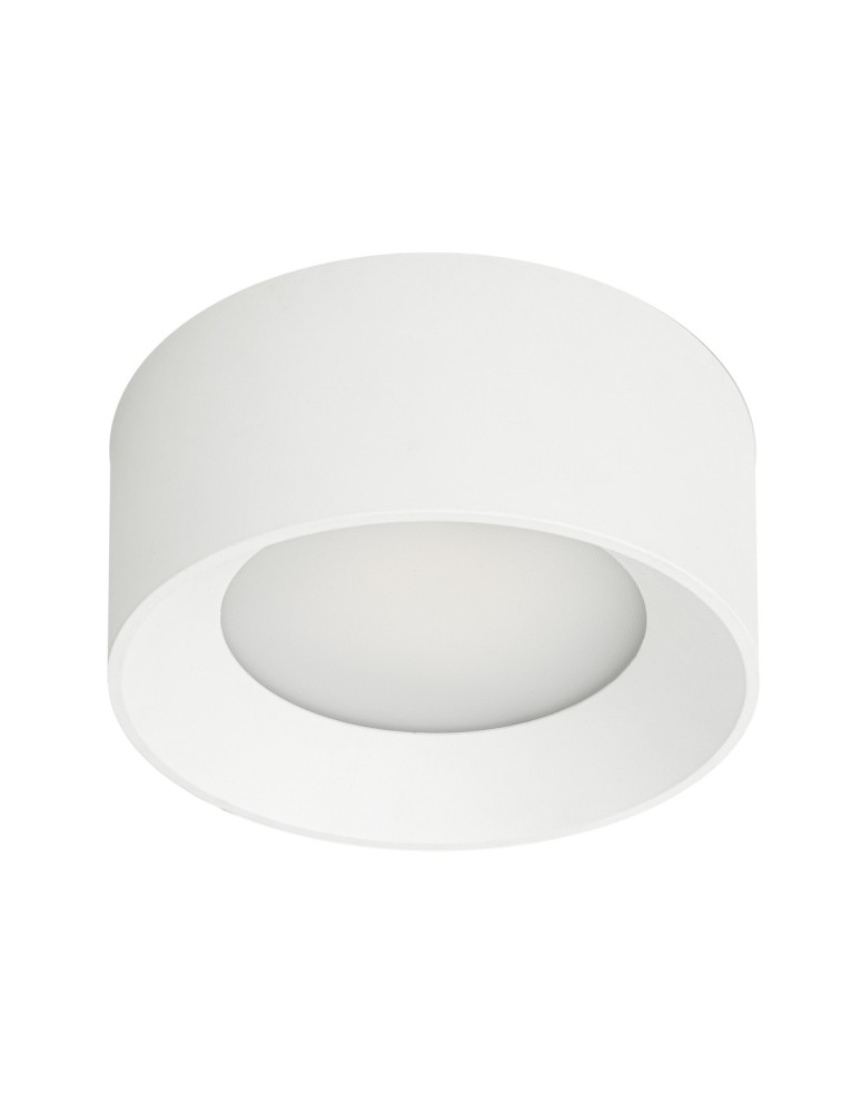 Italux Sirius Natynkowa Biały IP44 1xLED 28W 3000K+4000K WG-608C/WK-WW/MULTI