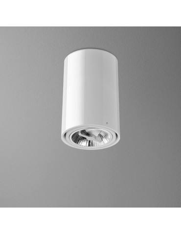 Aqform TUBA 111 230V 23cm natynkowy 46512-0000-U8-PH