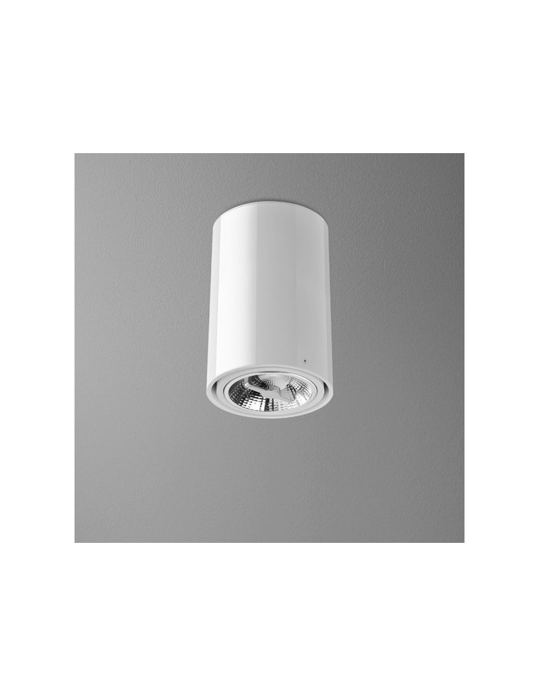 Lampy sufitowe - Aqform TUBA 111 230V 23cm natynkowy 46512-0000-U8-PH - produkt kolory-swiatla.pl 1