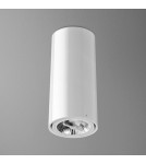 Lampy sufitowe - Aqform TUBA 111 230V 34cm natynkowy 46610-0000-U8-PH - produkt 1