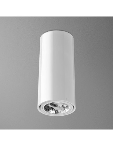 Aqform TUBA 111 230V 34cm natynkowy 46610-0000-U8-PH