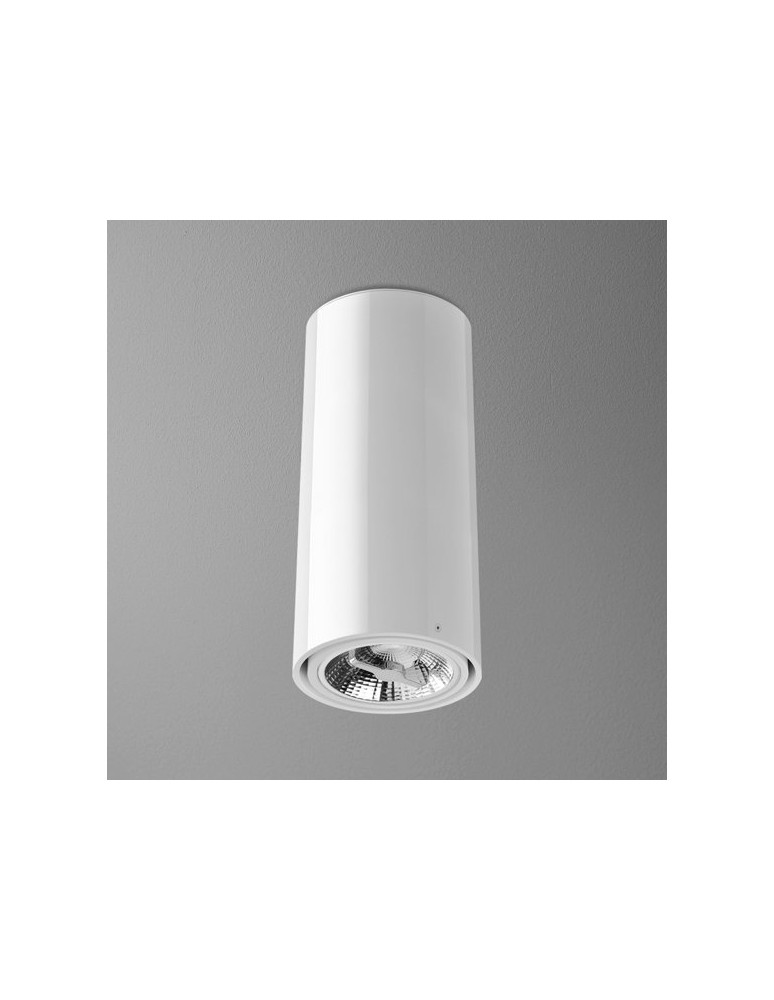 Lampy sufitowe - Aqform TUBA 111 230V 34cm natynkowy 46610-0000-U8-PH - produkt kolory-swiatla.pl 1