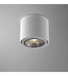 Lampy sufitowe - Aqform TUBA 111 natynkowa 11cm 45611-0000-T8-PH - product 1