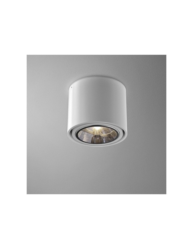Lampy sufitowe - Aqform TUBA 111 natynkowa 11cm 45611-0000-T8-PH - produkt kolory-swiatla.pl 1