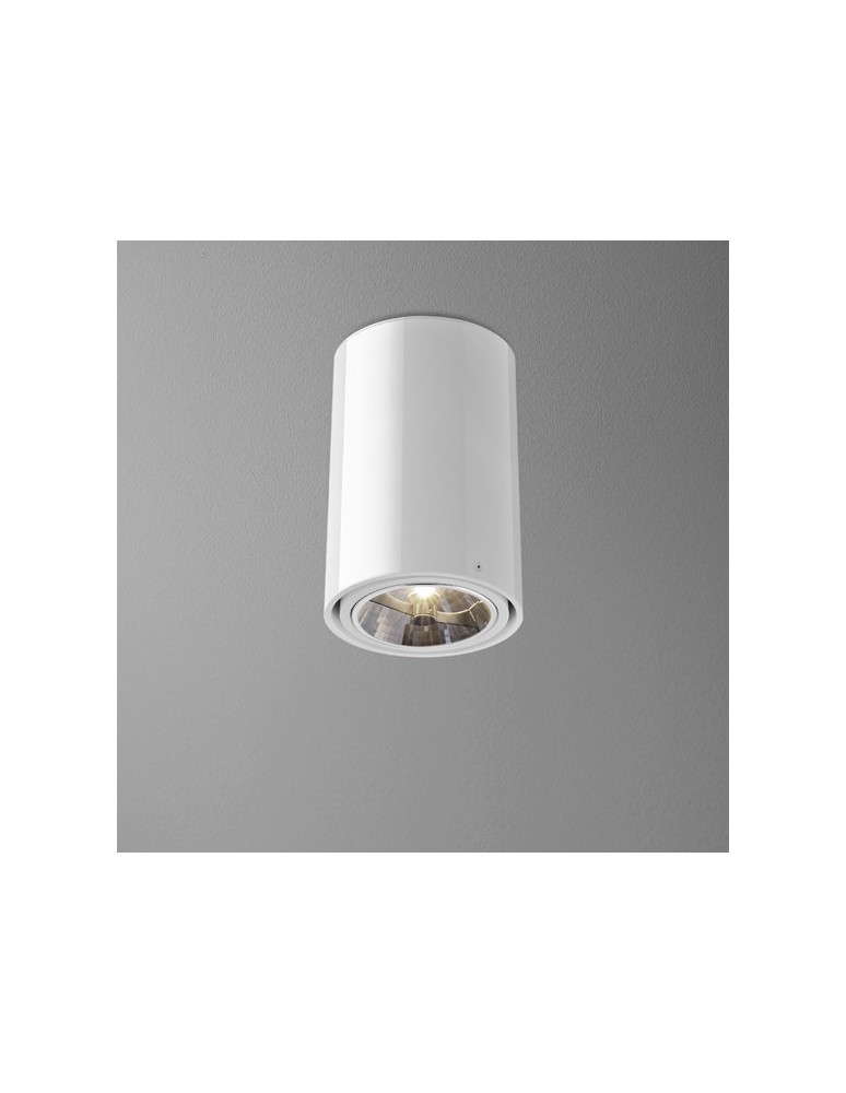 Lampy sufitowe - Aqform TUBA 111 natynkowa 23cm 46511-0000-T8-PH- - produkt kolory-swiatla.pl 1