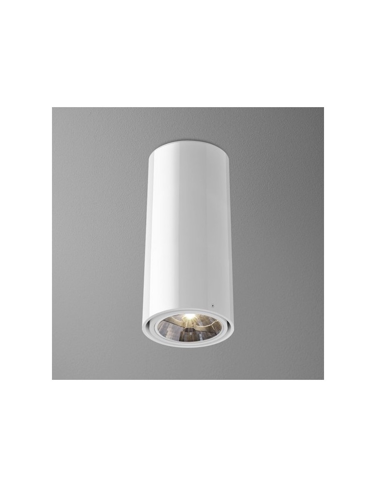 Lampy sufitowe - Aqform TUBA 111 natynkowa 34cm 46611-0000-T8-PH - produkt kolory-swiatla.pl 1