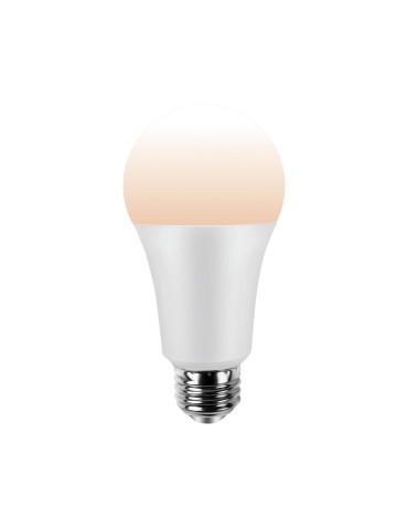 Eko-Light Żarówka LED Wi-FI A60 8W E27 Smart Tuya CCT+DIM EKSM7497 - produkt 2