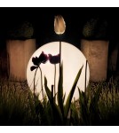 Kule ogrodowe - Eko-Light Kula Ogrodowa Globo Fi300 1xE27 EKO0457 - product 3