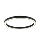 Lampy sufitowe - Paul Neuhaus Pure-Lines 70cm Sufitowa Z Pilotem Z Regulacją Barwy Światła I Ściemnianiem Antracyt 6306-13 - product 2