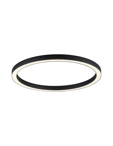 Paul Neuhaus Pure-Lines 70cm Sufitowa Z Pilotem Z Regulacją Barwy Światła I Ściemnianiem Antracyt 6306-13 - product 2