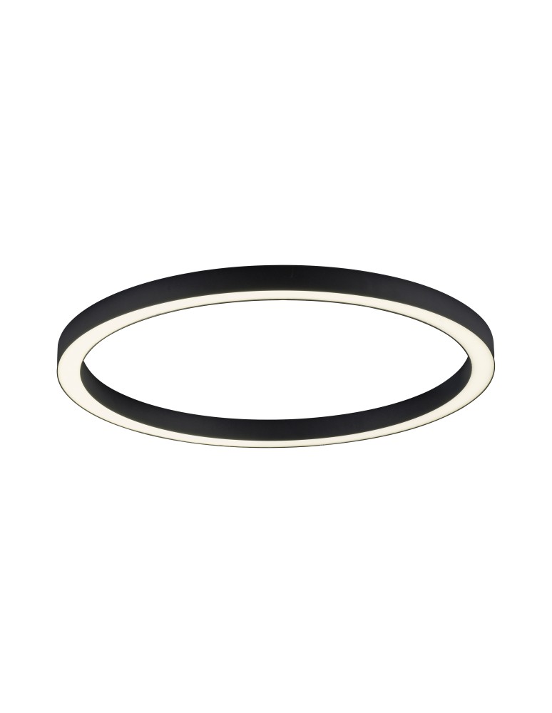 Lampy sufitowe - Paul Neuhaus Pure-Lines 70cm Sufitowa Z Pilotem Z Regulacją Barwy Światła I Ściemnianiem Antracyt 6306-13 - product kolory-swiatla.pl 2