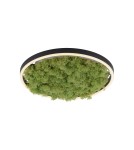 Lampy sufitowe - Leuchten Direkt Green Ritu 39cm Mech Islandzki Ściemniana 3-Stopniowo Zwykłym Włącznikiem 3000K Czarny/Zielony 15391-66 - produkt 2