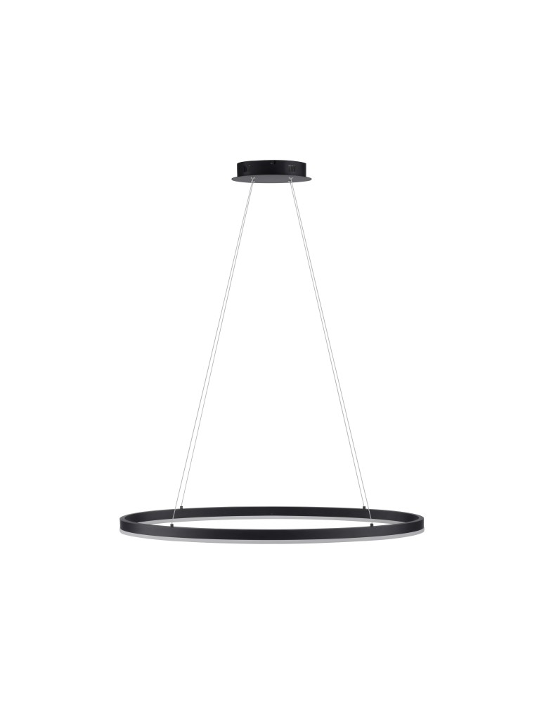 Lampy wiszące - Paul Neuhaus Titus 80cm Wisząca Owalna Funkcja Płynnego Ściemniania Zwykłym Włącznikiem Ściennym Antracyt 2392-13 - product kolory-swiatla.pl 2
