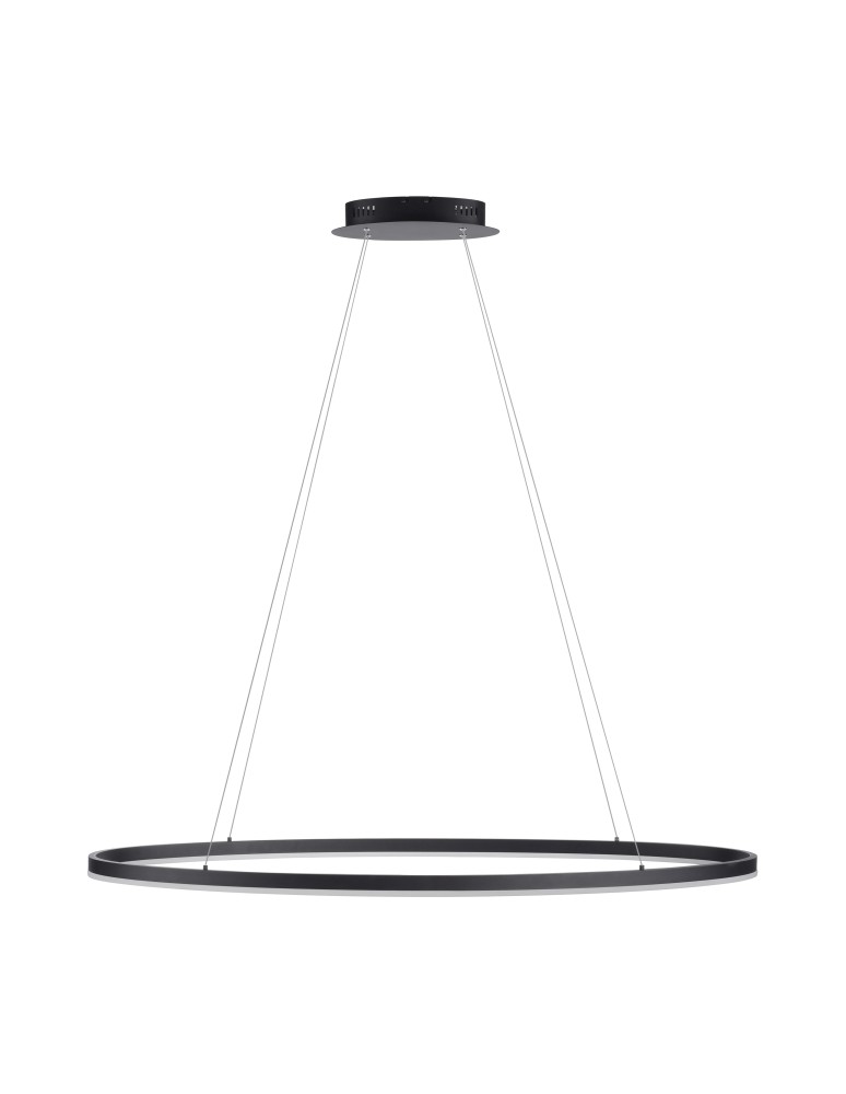 Lampy wiszące - Paul Neuhaus Titus 118cm Wisząca Owalna Funkcja Płynnego Ściemniania Zwykłym Włącznikiem Ściennym Antracyt 2393-13 - produkt kolory-swiatla.pl 2