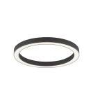 Lampy sufitowe - Paul Neuhaus Pure-Lines 50cm Sufitowa Z Pilotem Z Regulacją Barwy Światła I Ściemnianiem Antracyt 6309-13 - produkt 2