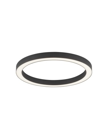 Paul Neuhaus Pure-Lines 50cm Sufitowa Z Pilotem Z Regulacją Barwy Światła I Ściemnianiem Antracyt 6309-13 - produkt 2