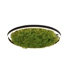 Lampy sufitowe - Leuchten Direkt Green Ritu 58cm Mech Islandzki Ściemniana 3-Stopniowo Zwykłym Włącznikiem 3000K Czarny/Zielony 15392-66 - product 2