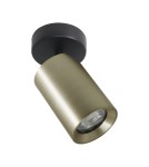 Lampy sufitowe regulowane - spoty - Zuma Line TORE ZŁOTY SZCZOTKOWANY TLS006-GLD SPOT - product 1
