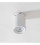 Lampy sufitowe regulowane - spoty - Zuma Line TORE BIAŁY TLS006-WH SPOT - product 5
