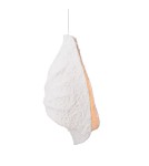 Lampy wiszące - Maxlight Lampa Wisząca Concha P0540 - product 2