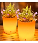 Step Into Design Lampa ogrodowa donica FLOWER POT S LED RGBW 16 kolorów 29 cm ES-FL021 Step Into Design Lampa ogrodowa donica FLOWER POT S LED RGBW 16 kolorów 29 cm ES-FL021