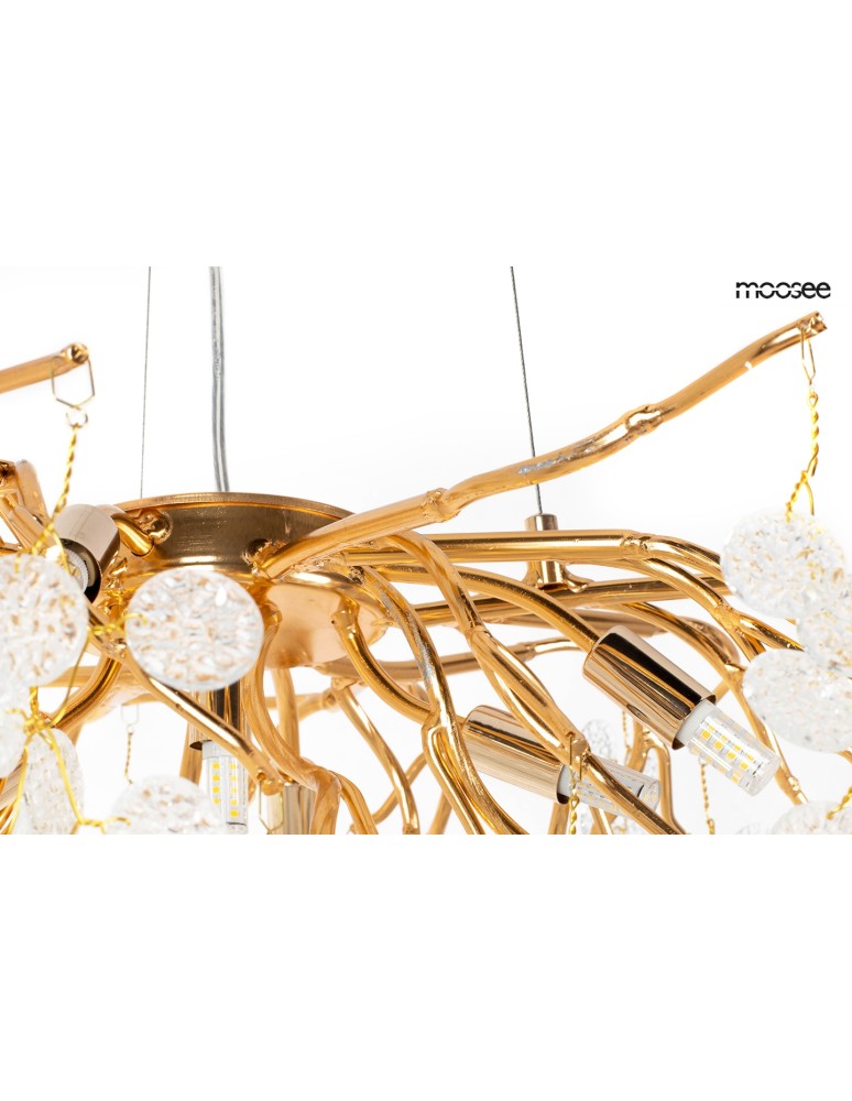 MOOSEE lampa wisząca RIVIERA 80 złota / clear (5900168832954) MOOSEE lampa wisząca RIVIERA 80 złota / clear (5900168832954)