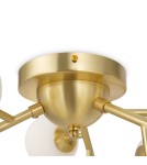 Maytoni Dallas Lampa Sufitowa 12xG9 28W Złoty MOD545CL-12BS Maytoni Dallas Lampa Sufitowa 12xG9 28W Złoty MOD545CL-12BS