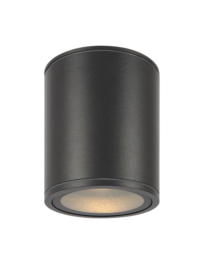 Maytoni Zewnętrzna Bar Lampa Sufitowa LED 12W 1300lm 3000K IP65 Grafit O306CL-L12GF