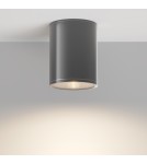 Maytoni Zewnętrzna Bar Lampa Sufitowa LED 7W 800lm 3000K IP65 Grafit O306CL-L7GF Maytoni Zewnętrzna Bar Lampa Sufitowa LED 7W 800lm 3000K IP65 Grafit O306CL-L7GF
