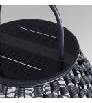 Maytoni Zewnętrzna Plet Ogrodowa LED 5W 50lm 3000K IP65 Black OSL599FL-L5B3K1 Maytoni Zewnętrzna Plet Ogrodowa LED 5W 50lm 3000K IP65 Black OSL599FL-L5B3K1