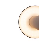 Maytoni Zewnętrzna Wald Ogrodowa LED 12W 1000lm 3000K IP65 Graphite O420FL-L12GF Maytoni Zewnętrzna Wald Ogrodowa LED 12W 1000lm 3000K IP65 Graphite O420FL-L12GF