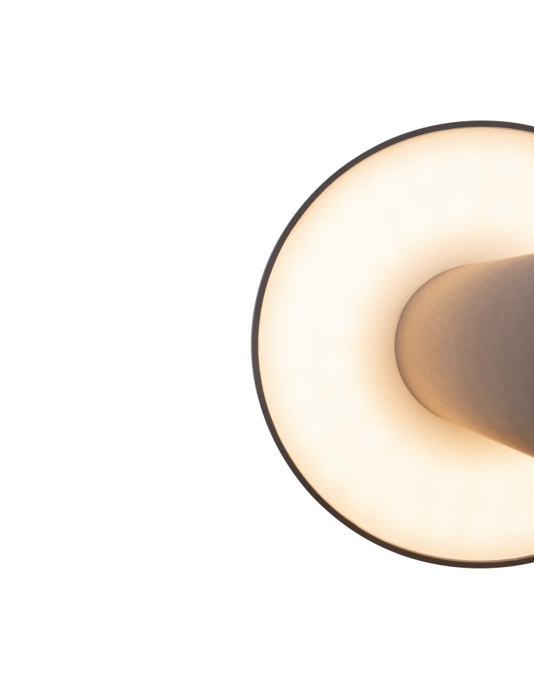 Maytoni Zewnętrzna Wald Ogrodowa LED 12W 1000lm 3000K IP65 Graphite O420FL-L12GF Maytoni Zewnętrzna Wald Ogrodowa LED 12W 1000lm 3000K IP65 Graphite O420FL-L12GF