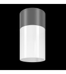 Maytoni Zewnętrzna Willis Lampa Sufitowa 1xE27 60W IP54 Graphite O418CL-01GR Maytoni Zewnętrzna Willis Lampa Sufitowa 1xE27 60W IP54 Graphite O418CL-01GR