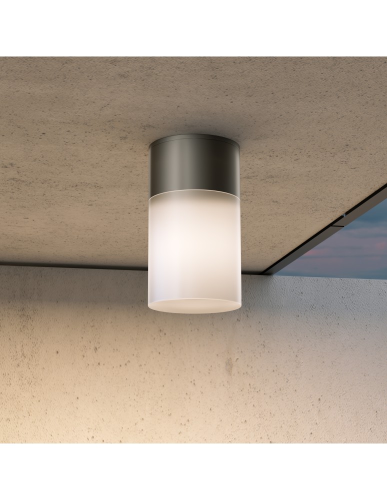 Maytoni Zewnętrzna Willis Lampa Sufitowa 1xE27 60W IP54 Black O418CL-01B
