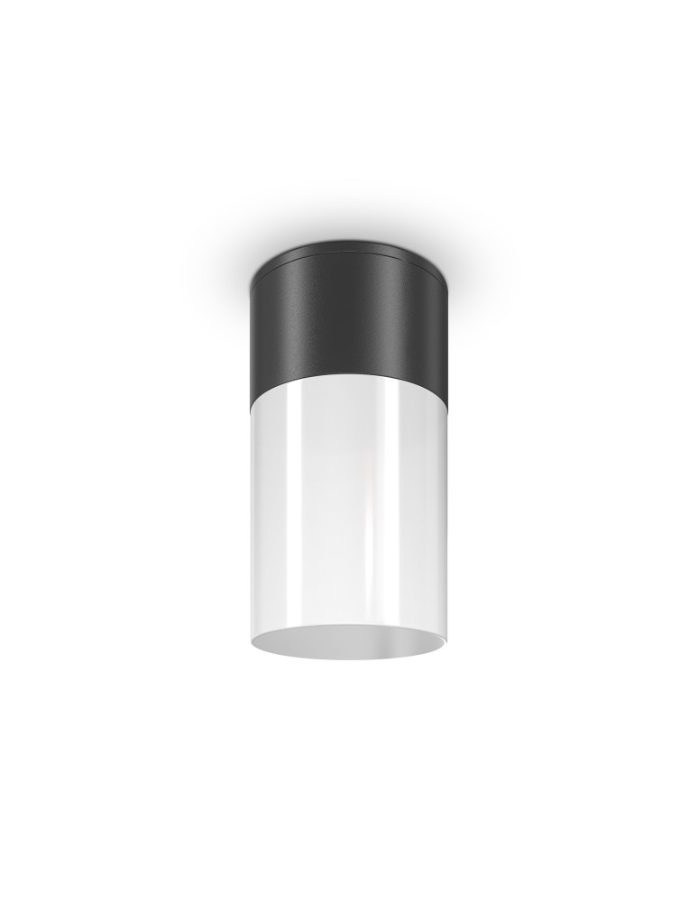 Maytoni Zewnętrzna Willis Lampa Sufitowa 1xE27 60W IP54 Black O418CL-01B