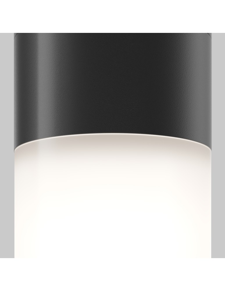 Maytoni Zewnętrzna Willis Lampa Sufitowa 1xE27 60W IP54 Black O418CL-01B