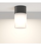 Lampy zewnętrzne sufitowe - Maytoni Zewnętrzna Willis Lampa Sufitowa 1xE27 60W IP54 Black O418CL-01B - product 5