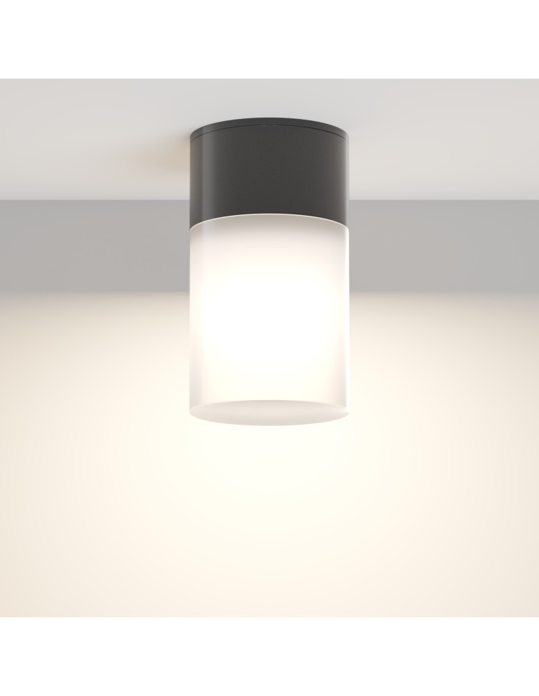 Maytoni Zewnętrzna Willis Lampa Sufitowa 1xE27 60W IP54 Black O418CL-01B