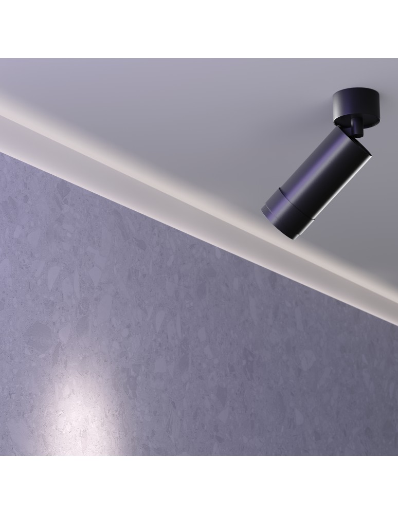 Maytoni Focus Zoom Lampa Sufitowa LED 12W 790lm 3000K Black C055CL-L12W3K-Z-B Maytoni Focus Zoom Lampa Sufitowa LED 12W 790lm 3000K Black C055CL-L12W3K-Z-B