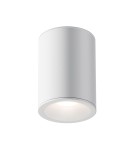 Oprawy sufitowe hermetyczne - Maytoni Zoom Lampa Sufitowa 1xGU10 50W IP65 Biały C029CL-01W - product 1