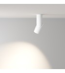 Maytoni Dafne Lampa Sufitowa LED 10W 1060lm 4000K Biały C027CL-L10W4K Maytoni Dafne Lampa Sufitowa LED 10W 1060lm 4000K Biały C027CL-L10W4K