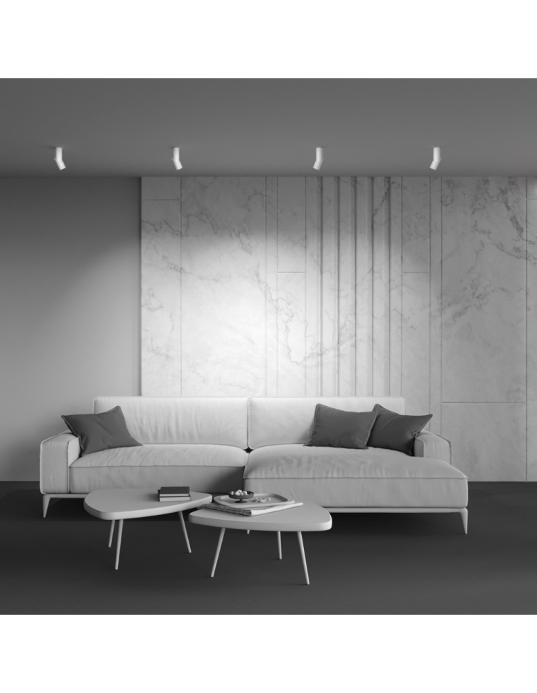 Maytoni Dafne Lampa Sufitowa LED 10W 800lm 3000K Biały C027CL-L10W