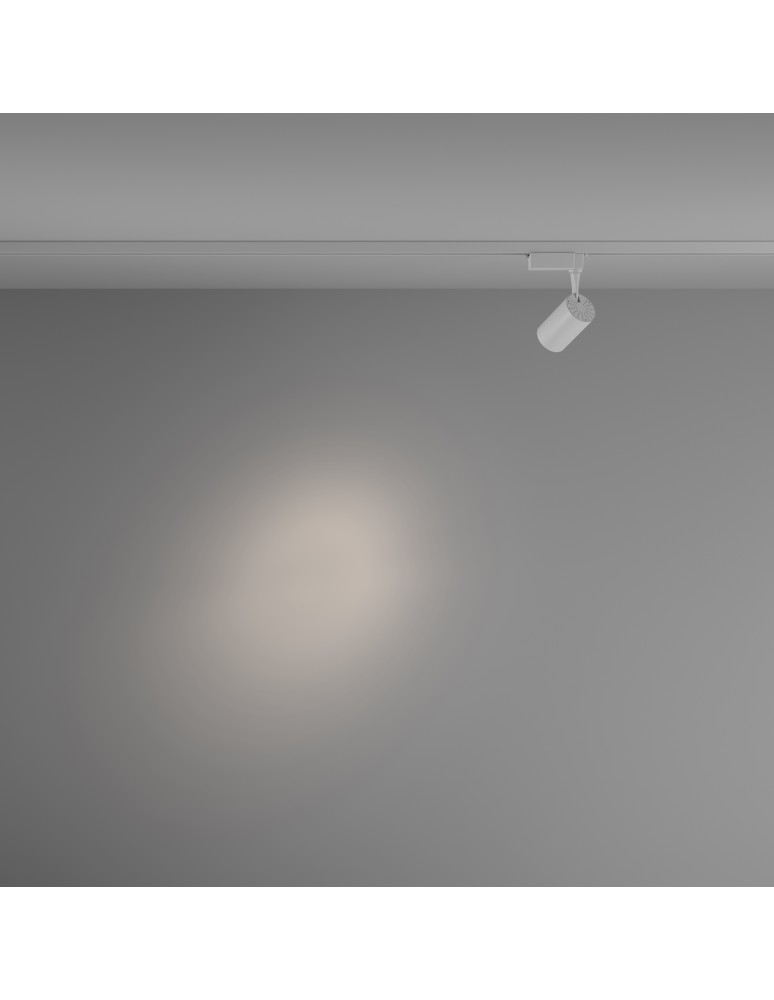 Maytoni Vuoro Reflektor do Szyny Jednoobwodowej UNITY LED 6W 500lm 4000K Biały TR003-1-6W4K-S-W Maytoni Vuoro Reflektor do Szyny Jednoobwodowej UNITY LED 6W 500lm 4000K Biały TR003-1-6W4K-S-W