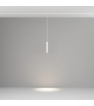 Maytoni Focus LED Lampa wisząca do szyny magnetycznej EXILITY LED 12W 1090lm 4000K Biały TR041-2-12W4K-W Maytoni Focus LED Lampa wisząca do szyny magnetycznej EXILITY LED 12W 1090lm 4000K Biały TR041-2-12W4K-W
