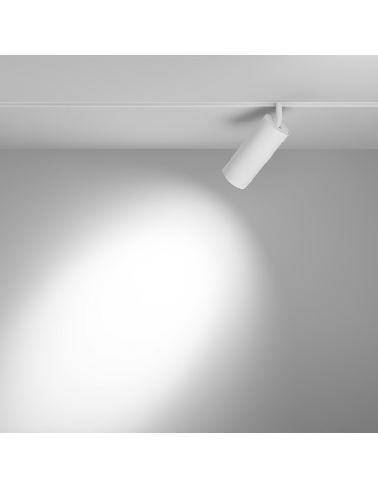 Maytoni Focus LED Lampa do Szyny Magnetycznej EXILITY LED 20W 1910lm 4000K Biały TR032-2-20W4K-S-W Maytoni Focus LED Lampa do Szyny Magnetycznej EXILITY LED 20W 1910lm 4000K Biały TR032-2-20W4K-S-W